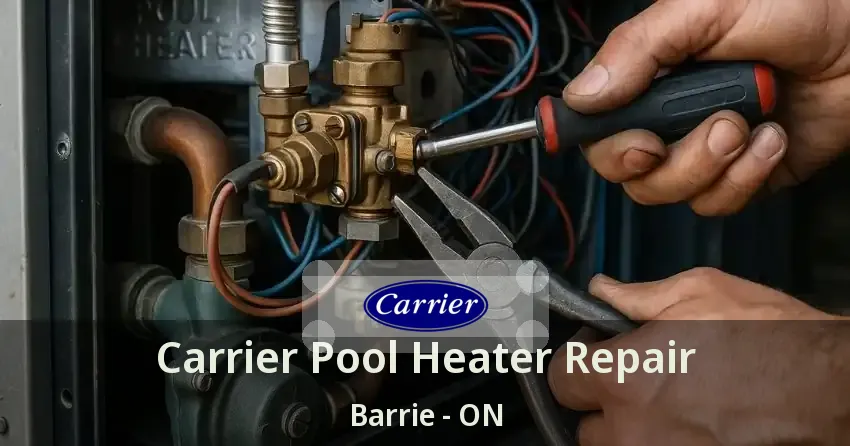 Carrier Pool Heater Repair Barrie - ON